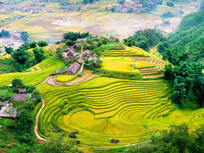 ハノイ発 ムーカンチャイ＆サパ2泊3日 (ホームステイ)