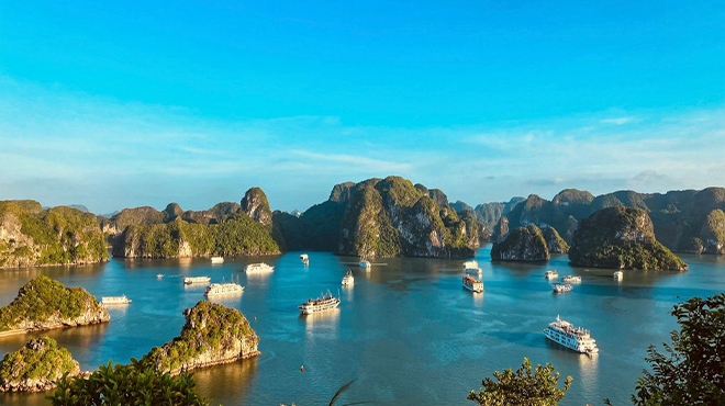 世界遺産ハロン湾クルーズ参加者No.1トップツアー